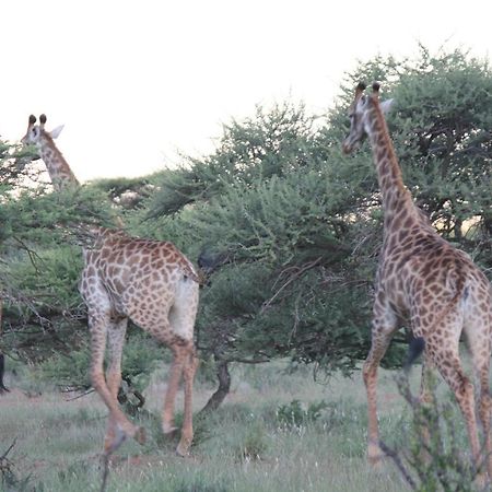 Wag N Bietjie Bush Lodge Heuningneskloof 외부 사진