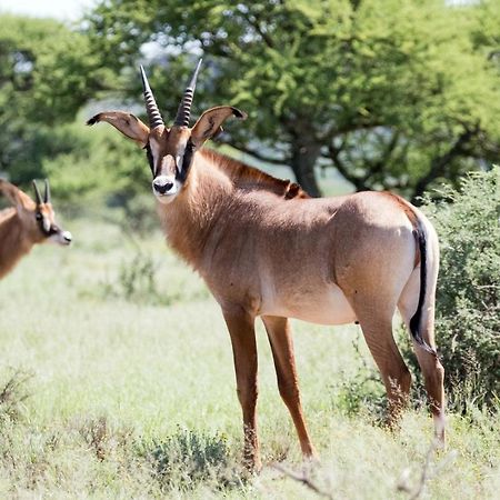 Wag N Bietjie Bush Lodge Heuningneskloof 외부 사진