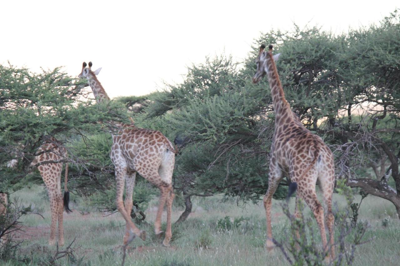 Wag N Bietjie Bush Lodge Heuningneskloof 외부 사진