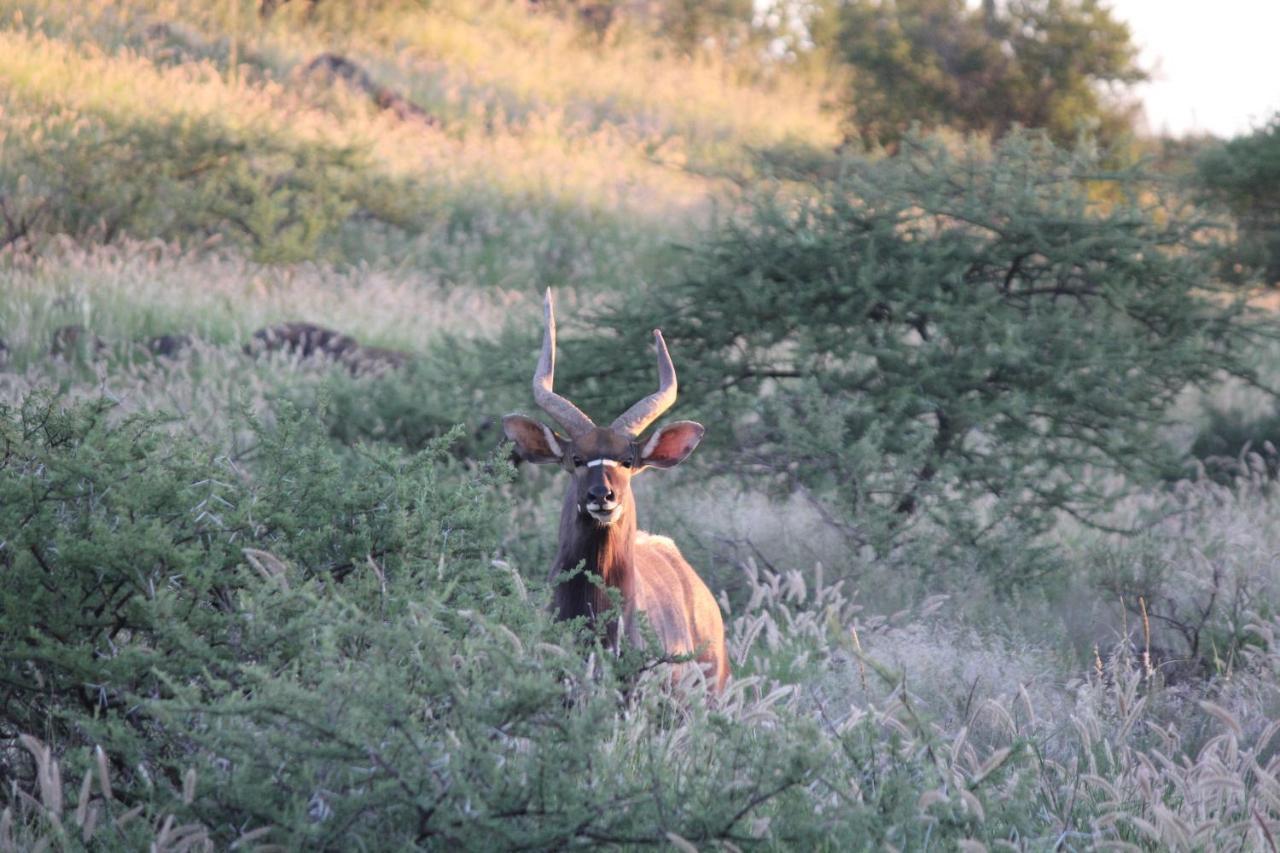 Wag N Bietjie Bush Lodge Heuningneskloof 외부 사진