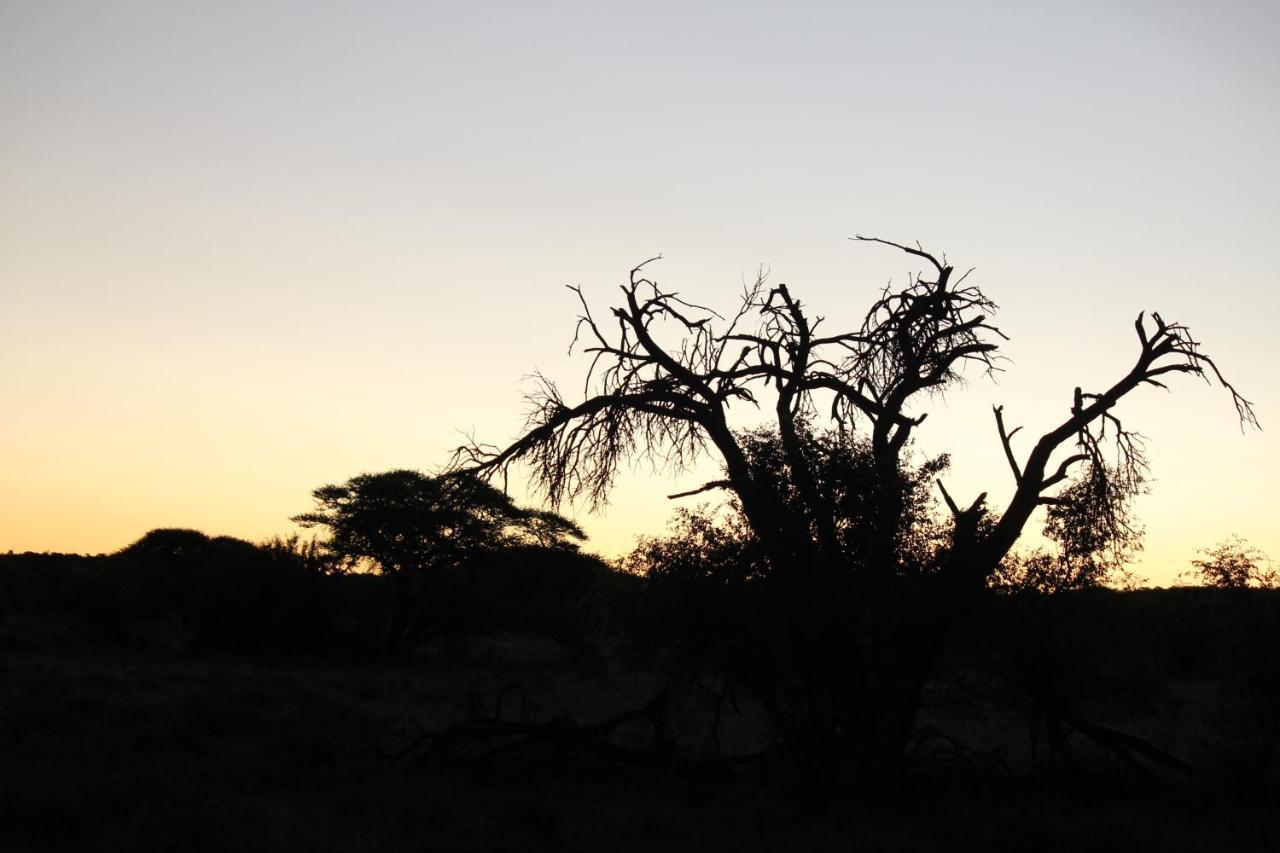 Wag N Bietjie Bush Lodge Heuningneskloof 외부 사진
